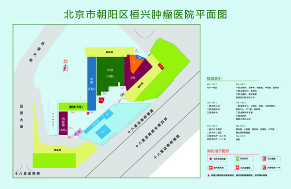 男女裸体插入阴道爱爱的视频北京市朝阳区桓兴肿瘤医院平面图